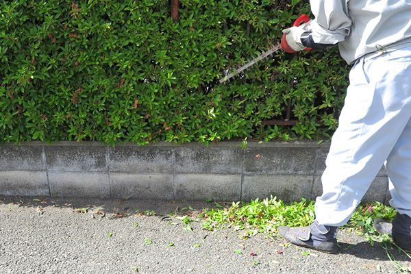 地域のかかりつけ医を目指して