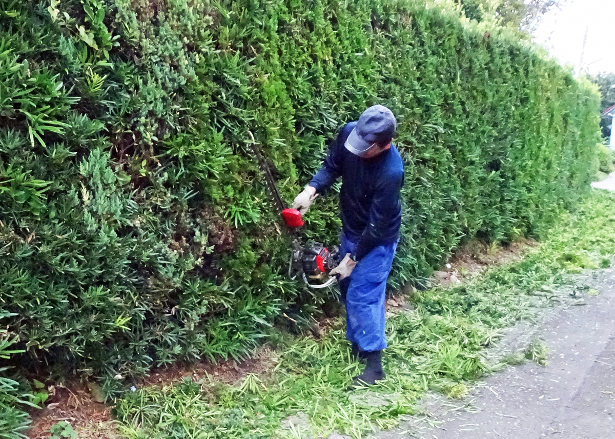 植栽管理・植栽工事