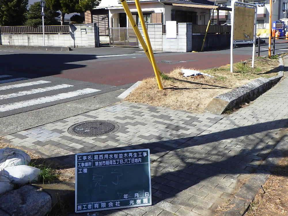 公共事業樹木管理