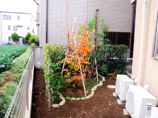 植栽工事例