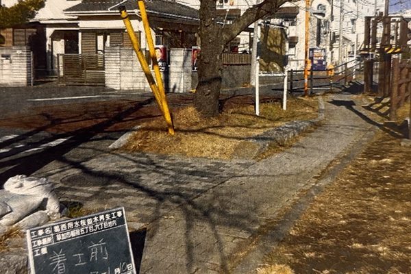 葛西用水桜並木再生工事